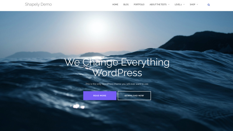 plantilla wordpress gratis shapely
