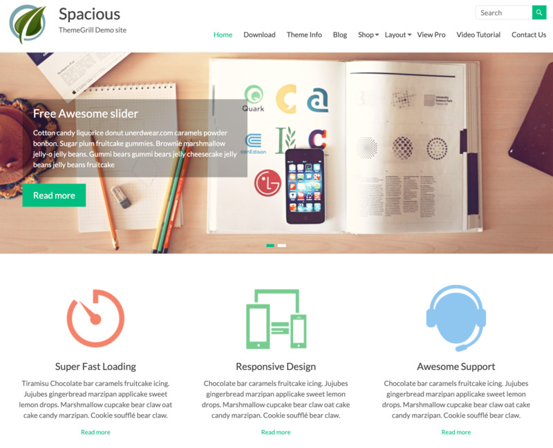 plantilla wordpress gratis spacious