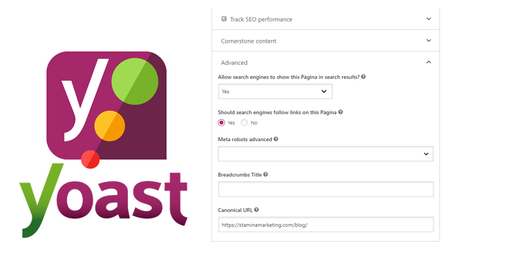 ejemplo url canonica yoast seo