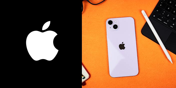 ejemplo segmentacion de mercado apple