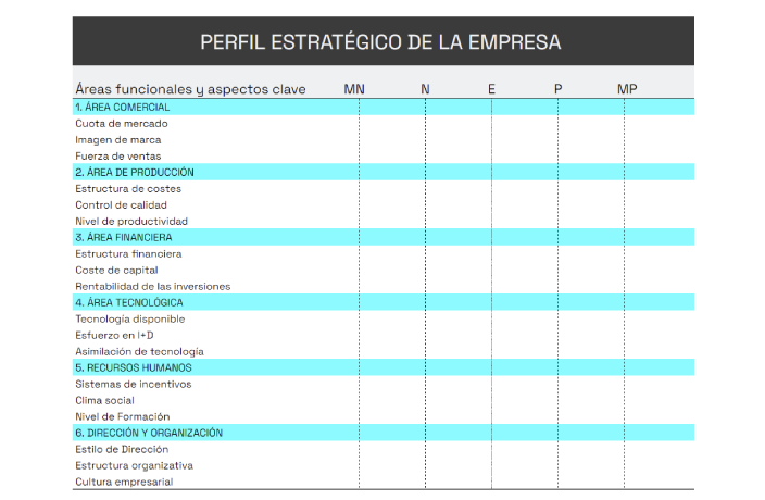 perfil estrategico de la empresa