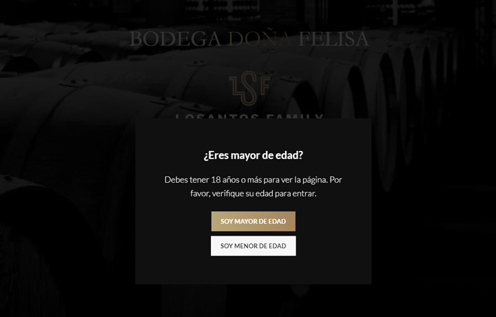popup confirmacion edad ejemplo