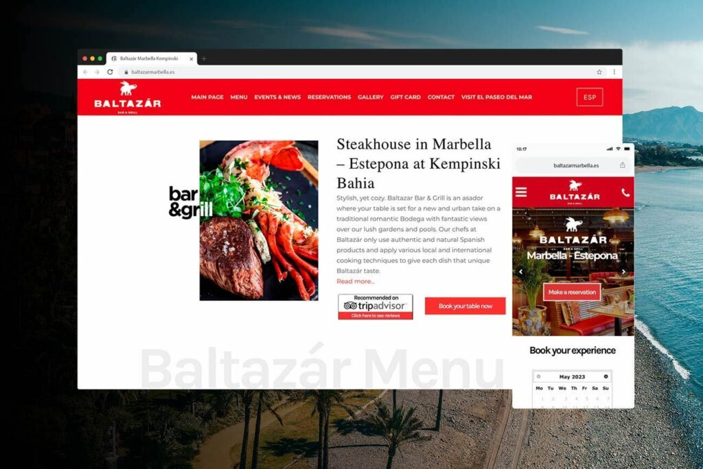 diseño pagina web restaurante marbella