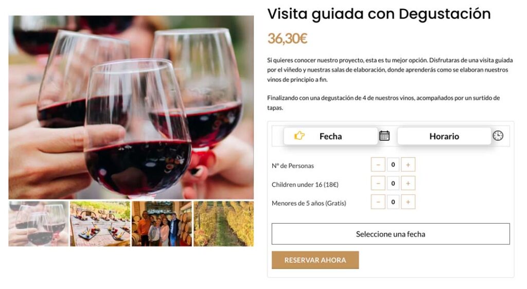 diseño web enoturismo