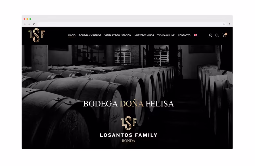 diseño web para bodegas
