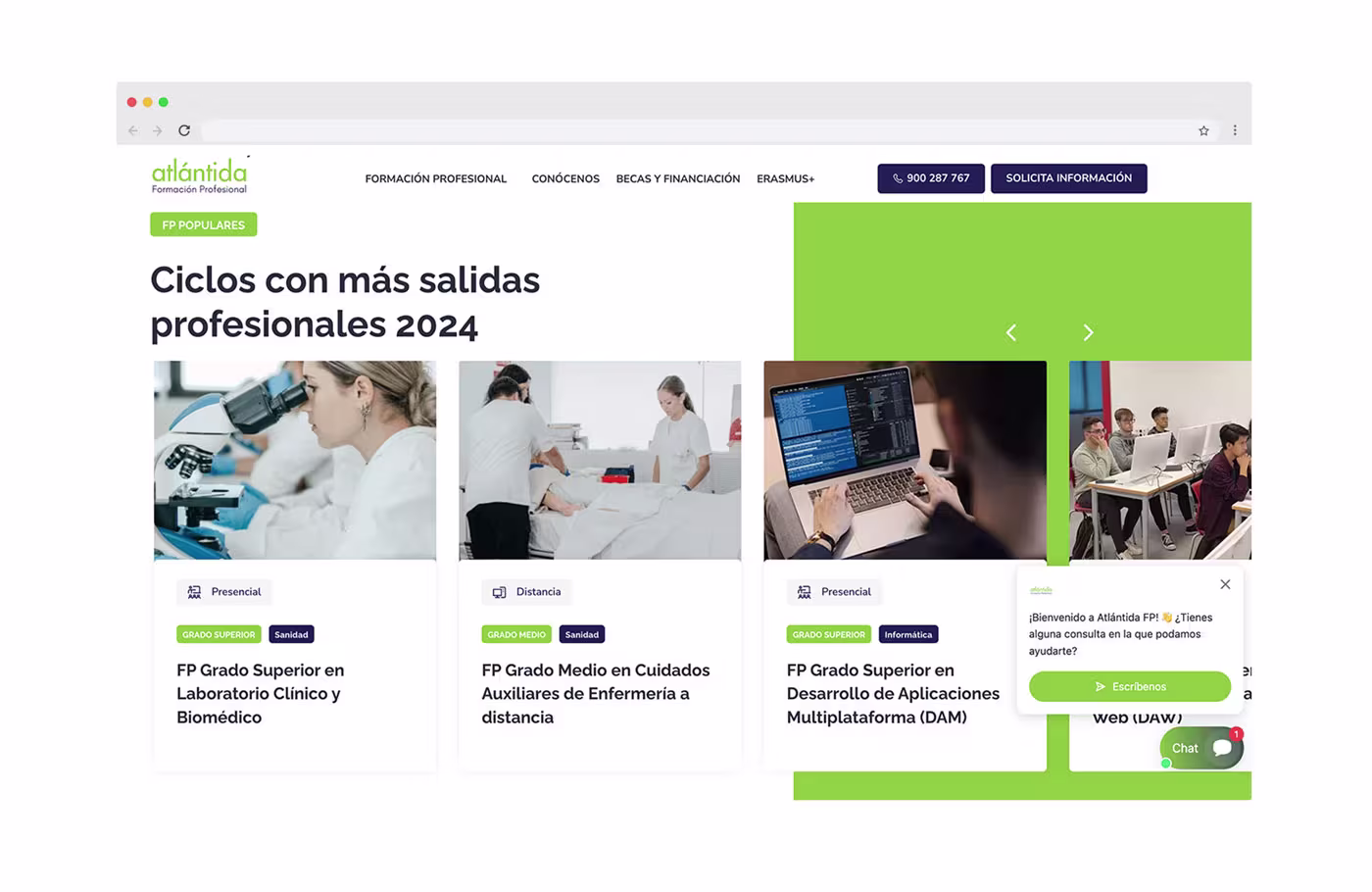 desarrollador paginas web centros formacion