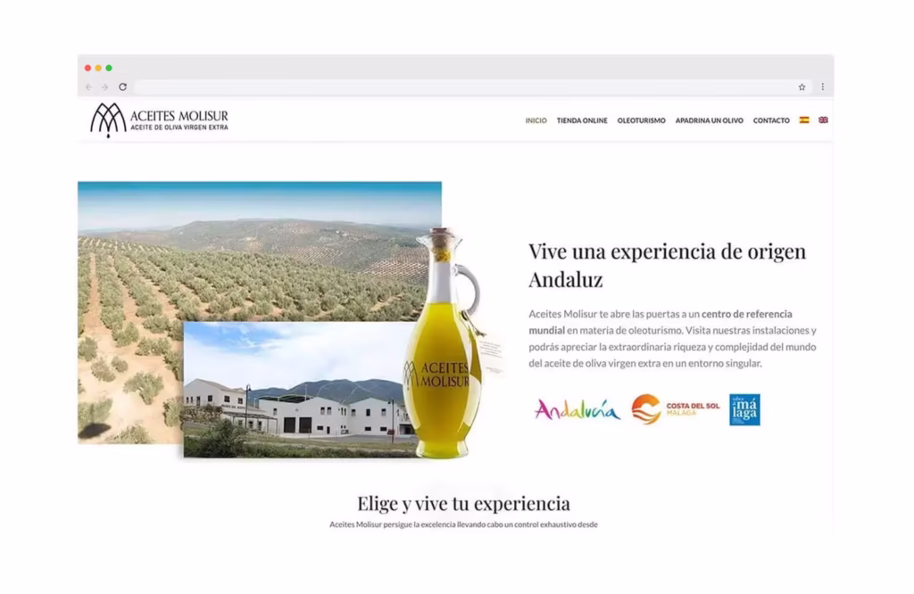 empresa diseño web malaga stamina marketing