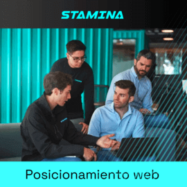 agencia seo local stamina